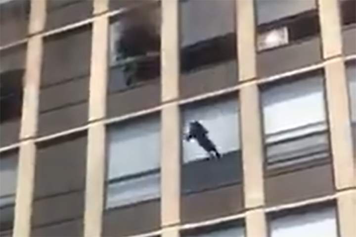 A cat falls after leaping from a fifth-floor window at an apartment building in Chicago on May 13, 2021.