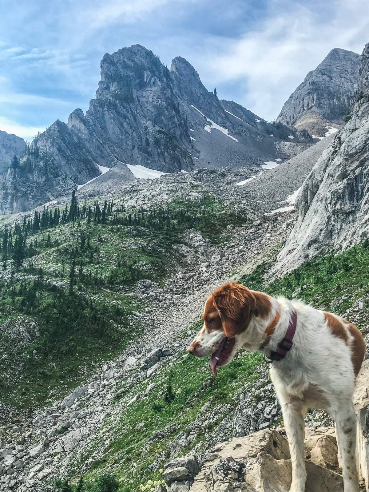 5-year-old Scout.