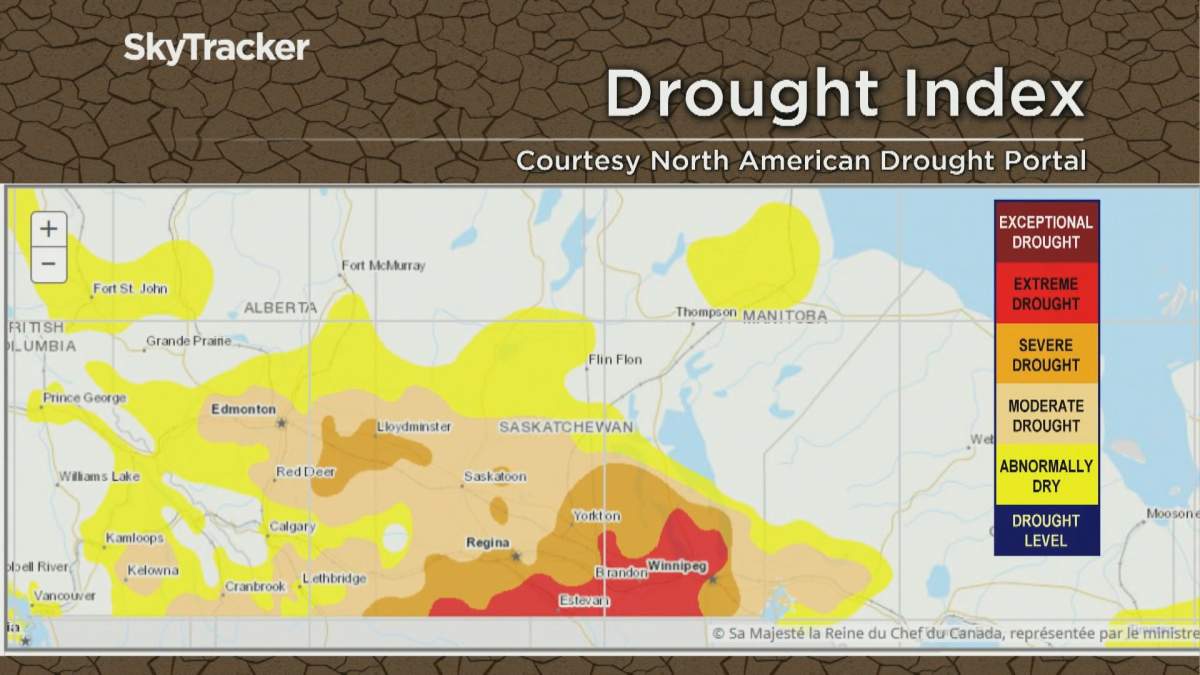 Precipitation forecast for Saskatchewan no match for drought: expert - image