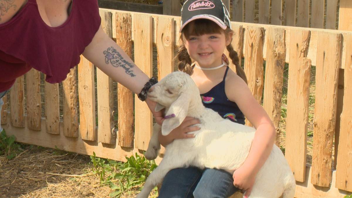Rylee Rasmussen is a veteran goat snuggler. Her family booked three sessions last year.