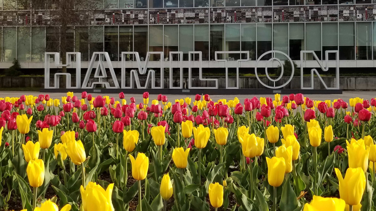 Two specialists say Hamilton has been particularly hit hard by pollen this spring compared to other regions in Canada.