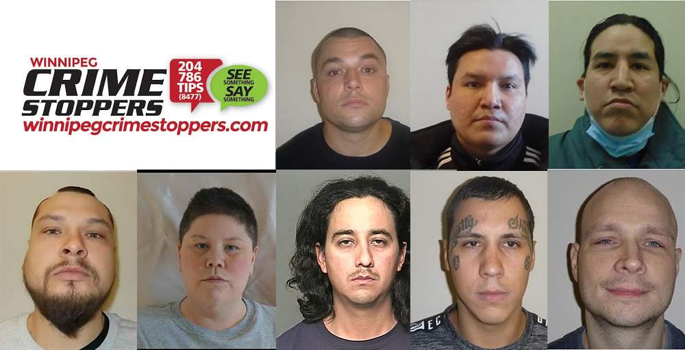 Winnipeg's most wanted. Top (from left):  Cyr, Mayham, Flett. Bottom (from left):  Warren, Bruce, Cabeza, Parisian, Curtis.