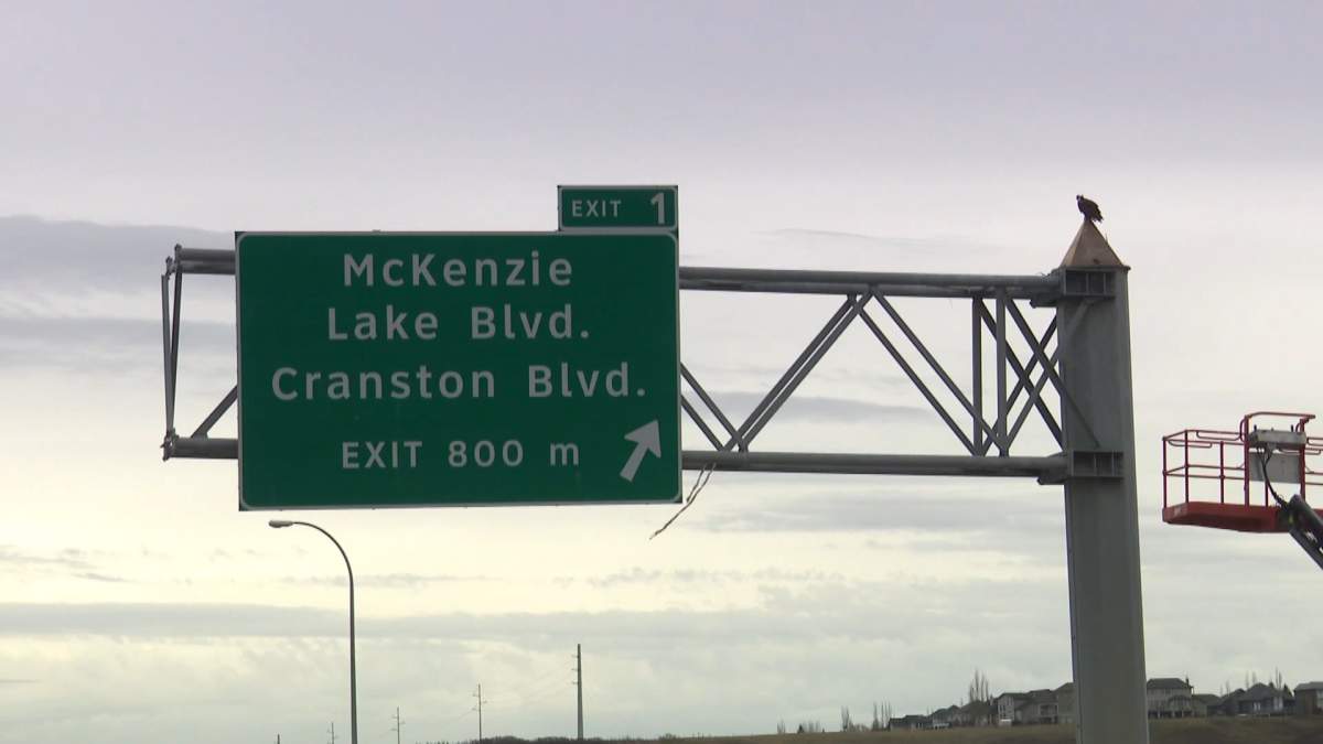 Osprey on the road sign.