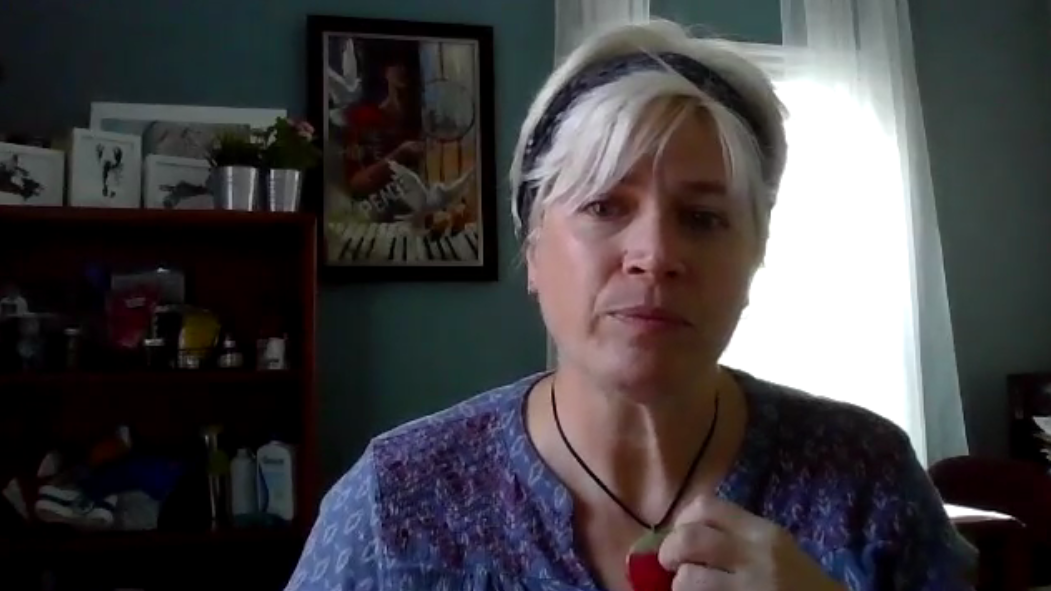 Trish McCourt of the Tri County Women’s Centre says mental health-care in the area is difficult to access.