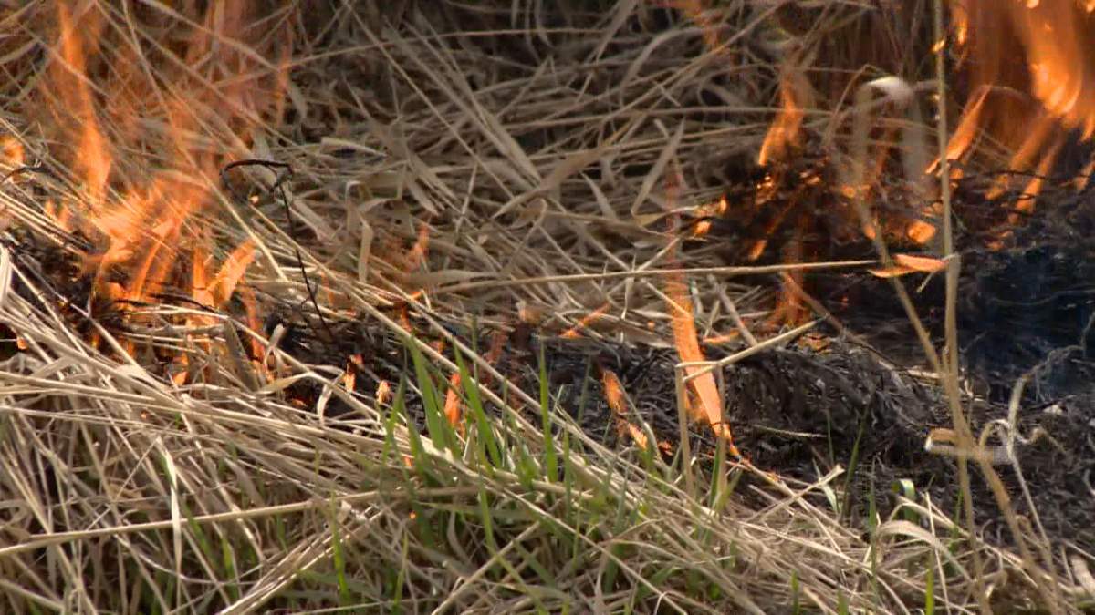 Chief Russ Austin said a lot is taken into consideration when the Warman Fire Department asks to have a fire ban implemented.