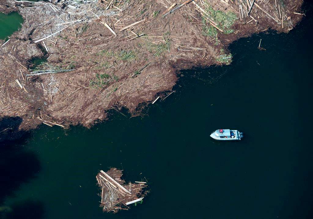 A aerial view shows the debris going into Quesnel Lake caused by a tailings pond breach near the town of Likely, B.C., Tuesday, Aug. 5, 2014. A new report says changes to British Columbia's requirements for tailings storage after the Mount Polley disaster have generally improved the management of mining waste. THE CANADIAN PRESS/Jonathan Hayward.