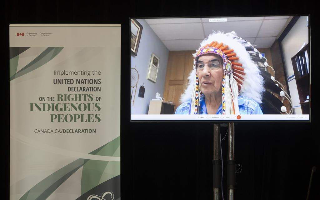 Grand Chief Wilton Littlechild speaks via video conference 
during an announcement about the United Nations Declaration on the Rights of Indigenous Peoples, in Ottawa, Thursday, Dec. 3, 2020.THE CANADIAN PRESS/Adrian Wyld.