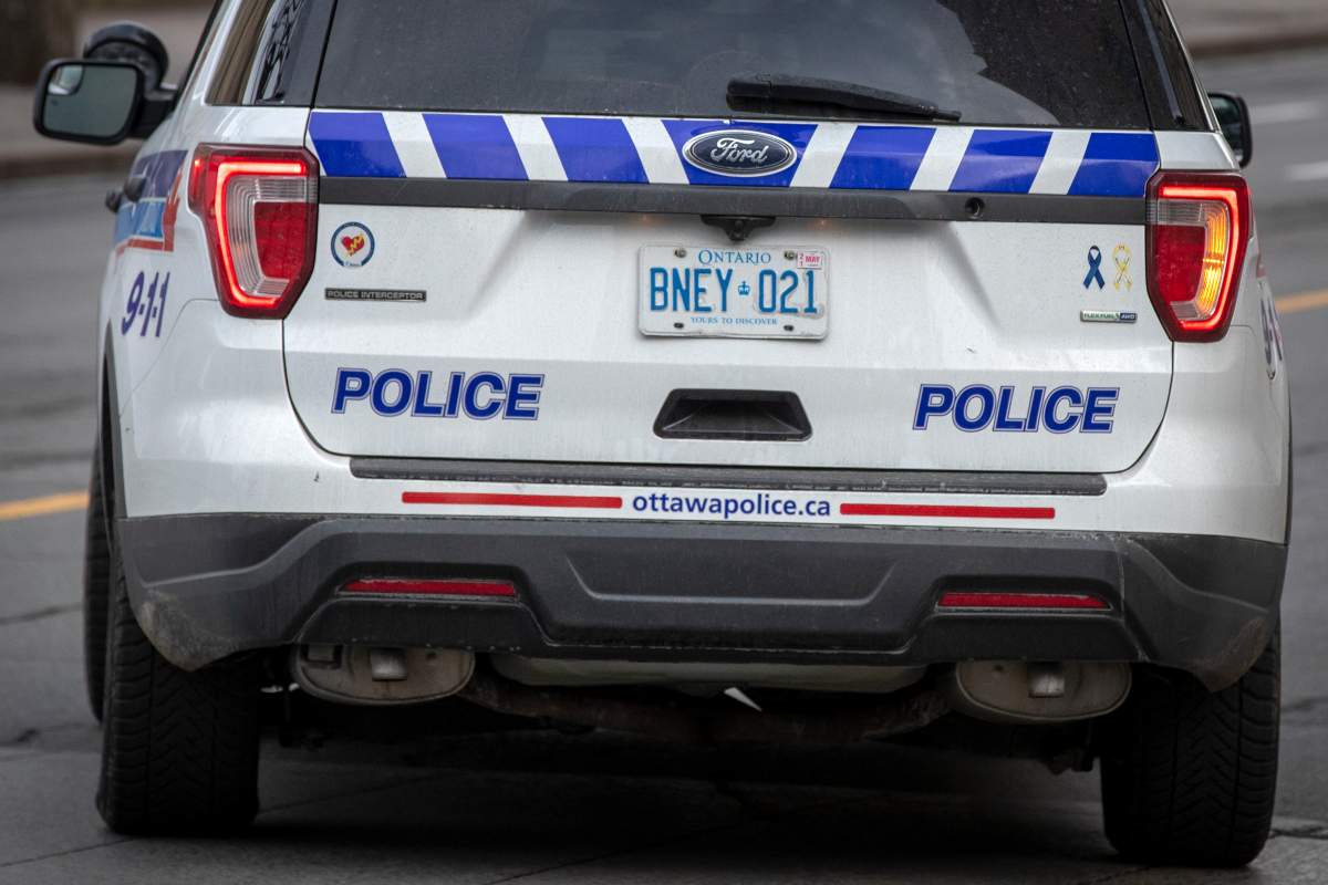 Ottawa police charge 2 men in Woodroffe Avenue drive-by shooting - image