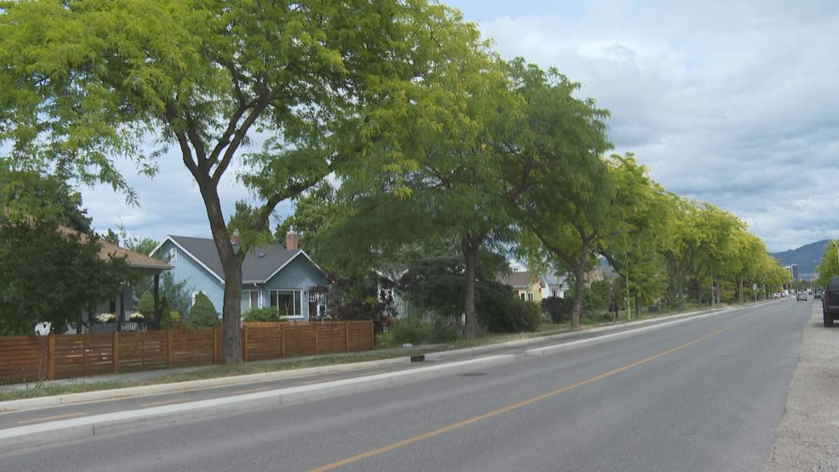 The city is asking residents and homeowners to help care for young trees planted on streets and boulevards near where they live.