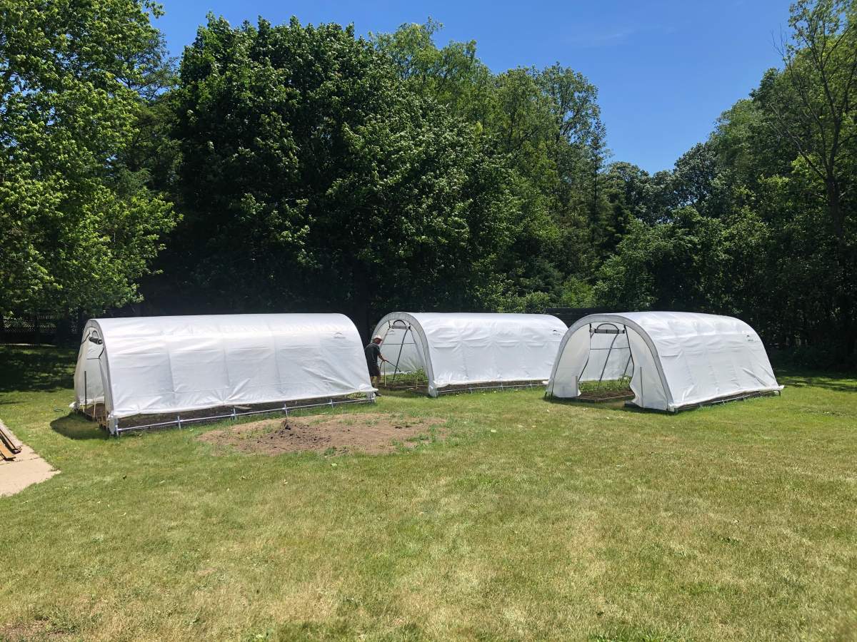 Crops from the three greenhouses at St. Aidan’s Anglican Church will be donated to the London Food Bank.