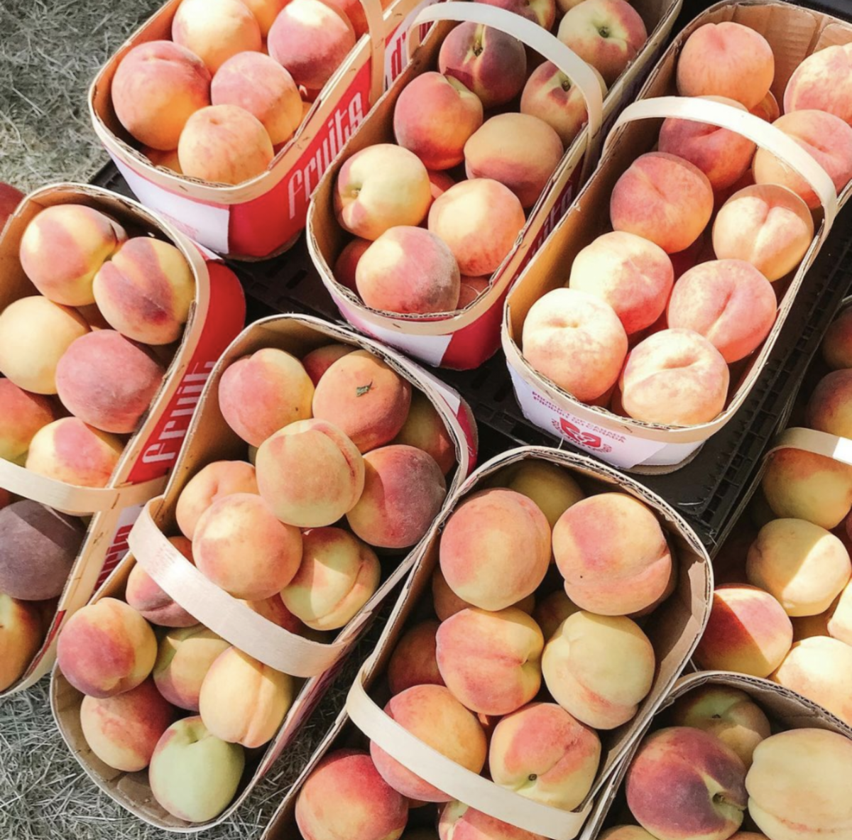 A shortage of fresh fruit from the Okanagan this year is forcing retailers to look for a supply in other places like Ontario and Washington State.