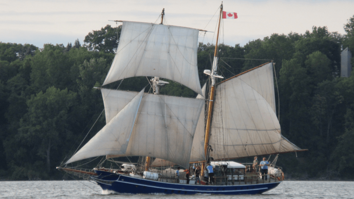Hamilton to officially welcome sailing vessel TS Playfair - image
