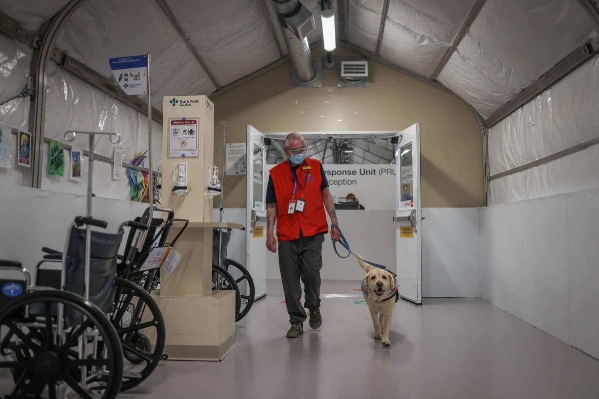 Larry Goertzen and Tucker, his seven-year-old English Lab, visit patients and health-care workers at the Peter Lougheed Centre in Calgary, Alta.