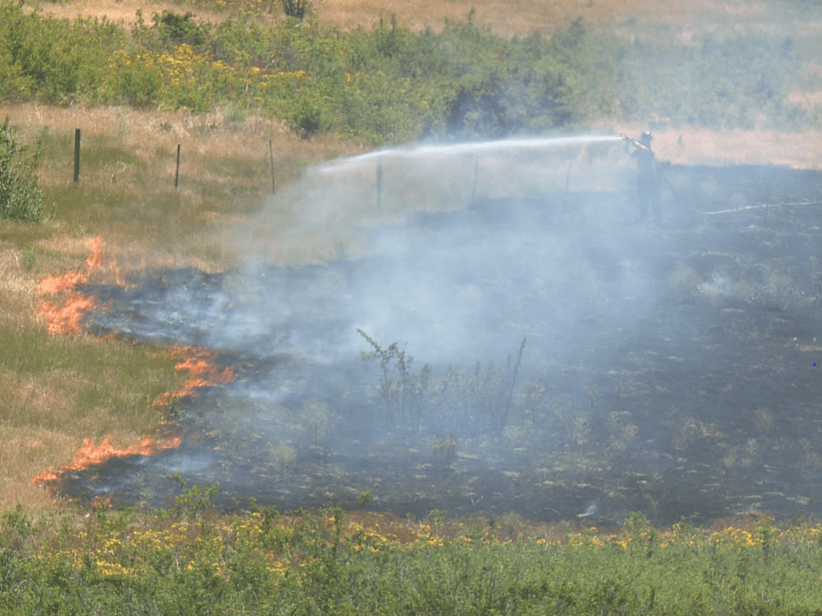 Sixteen firefighters from West Kelowna Fire Rescue were called to a grass fire near Walmart on Friday.