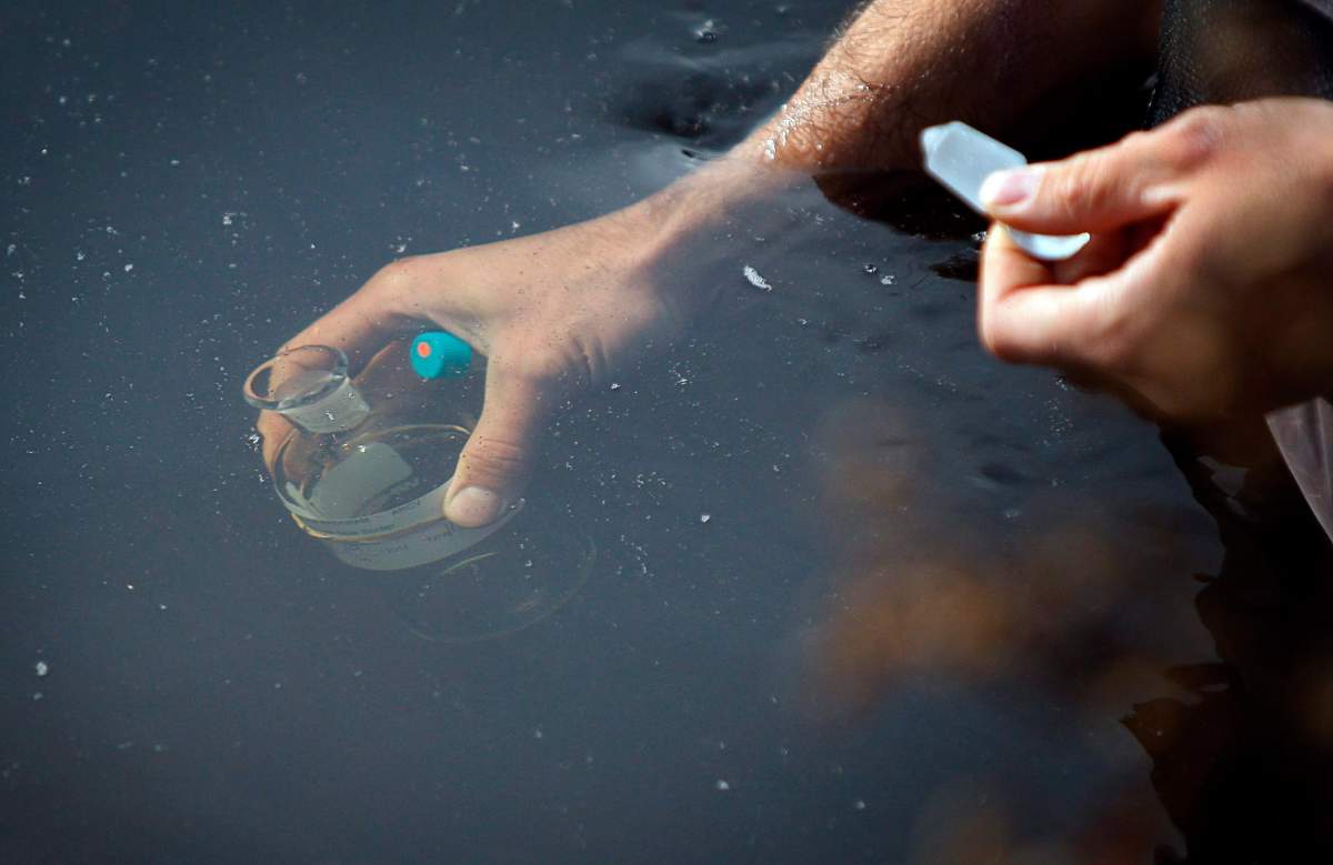 File photo of an Alberta Environment limnologist gathering a water sample from the Old Fort River near Fort McMurray, Alta., Monday, Sept. 19, 2011.