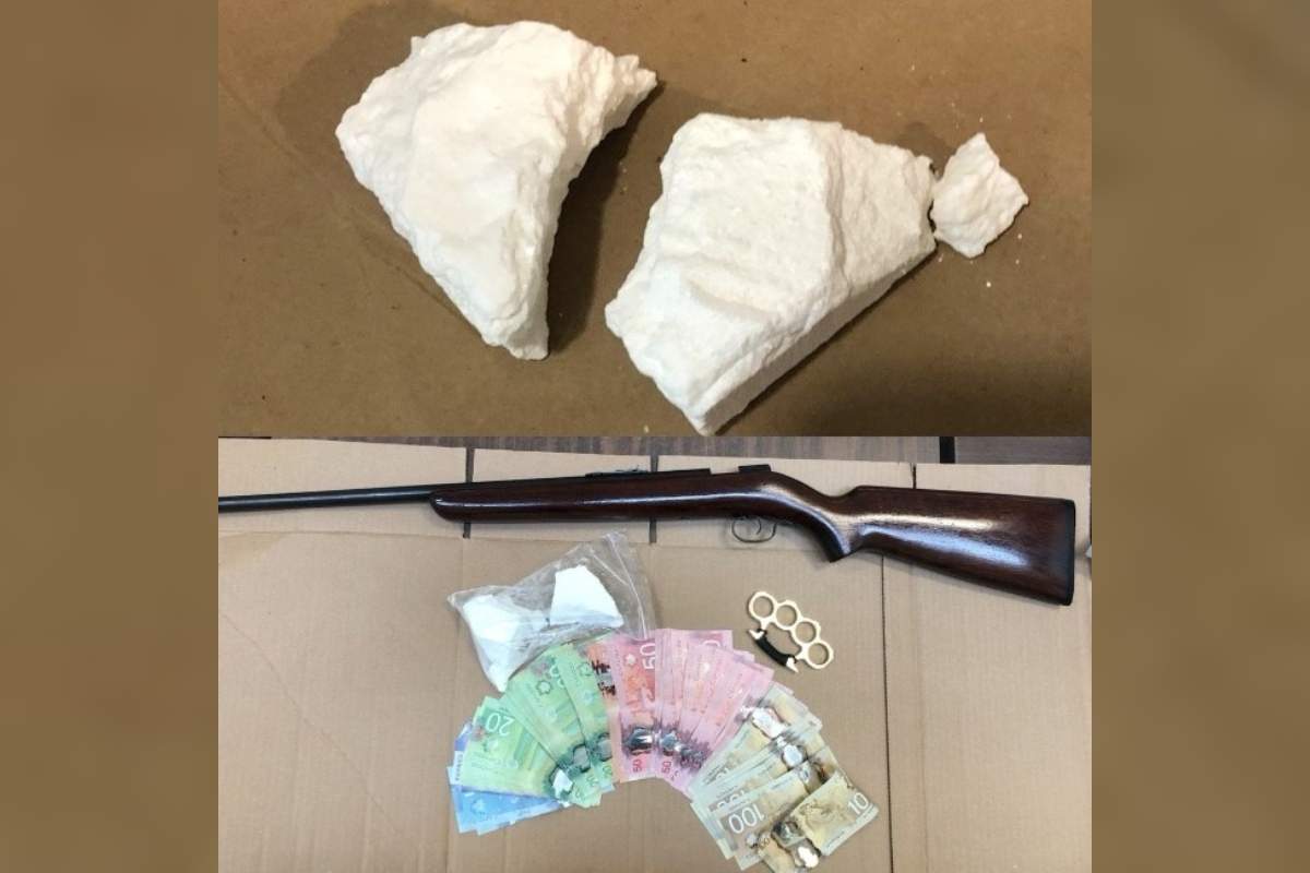 Guelph police have seized $14,000 in cocaine. 