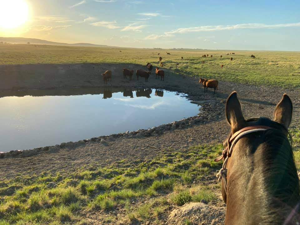 Southern Alberta drought fears