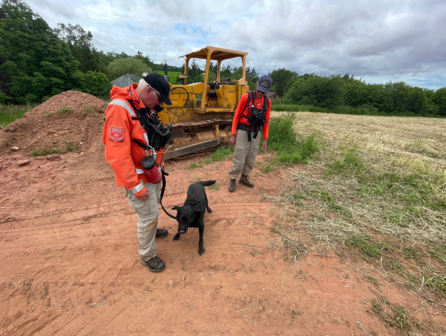 Members of Ground Search and Rescue during a search for three-year-old Dylan Ehler in the Old Barns area on Saturday.