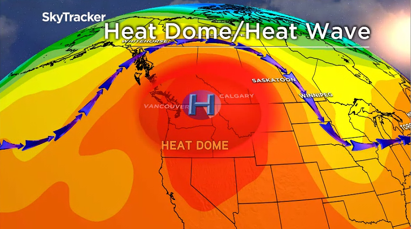 ‘Heat dome’: Warnings issued as potentially record-breaking temperatures forecast in B.C. - image