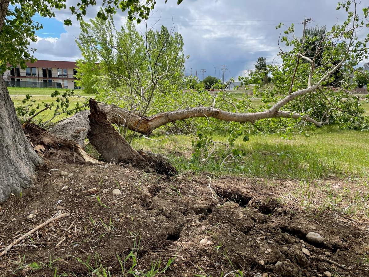 Damage the day after a storm in Brooks on Saturday, June 5, 2021.