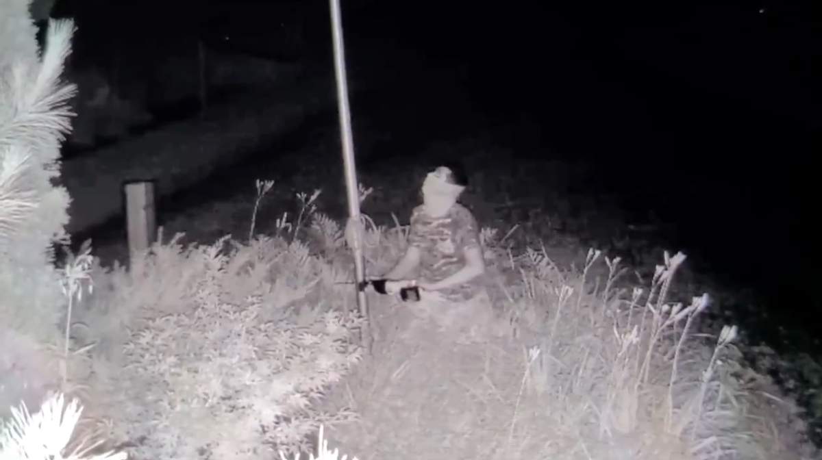 Suspects sought after two flag poles with Pride flags cut down in Norfolk County: OPP - image