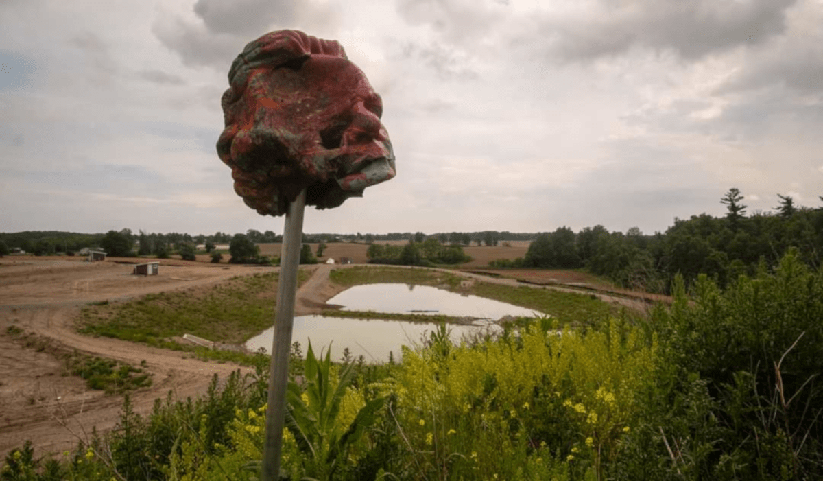The head from the toppled Egerton Ryerson statue turned up at 1492 Landback Lane in Caledonia on Monday. The statue was removed from the university that is the namesake of the former educator and minister.