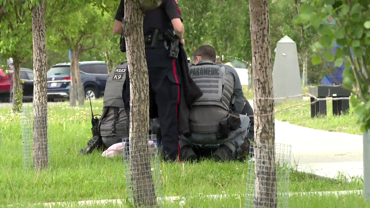 Emergency crews responded to a serious incident at the Calgary Zoo on Saturday, June 19, 2021.