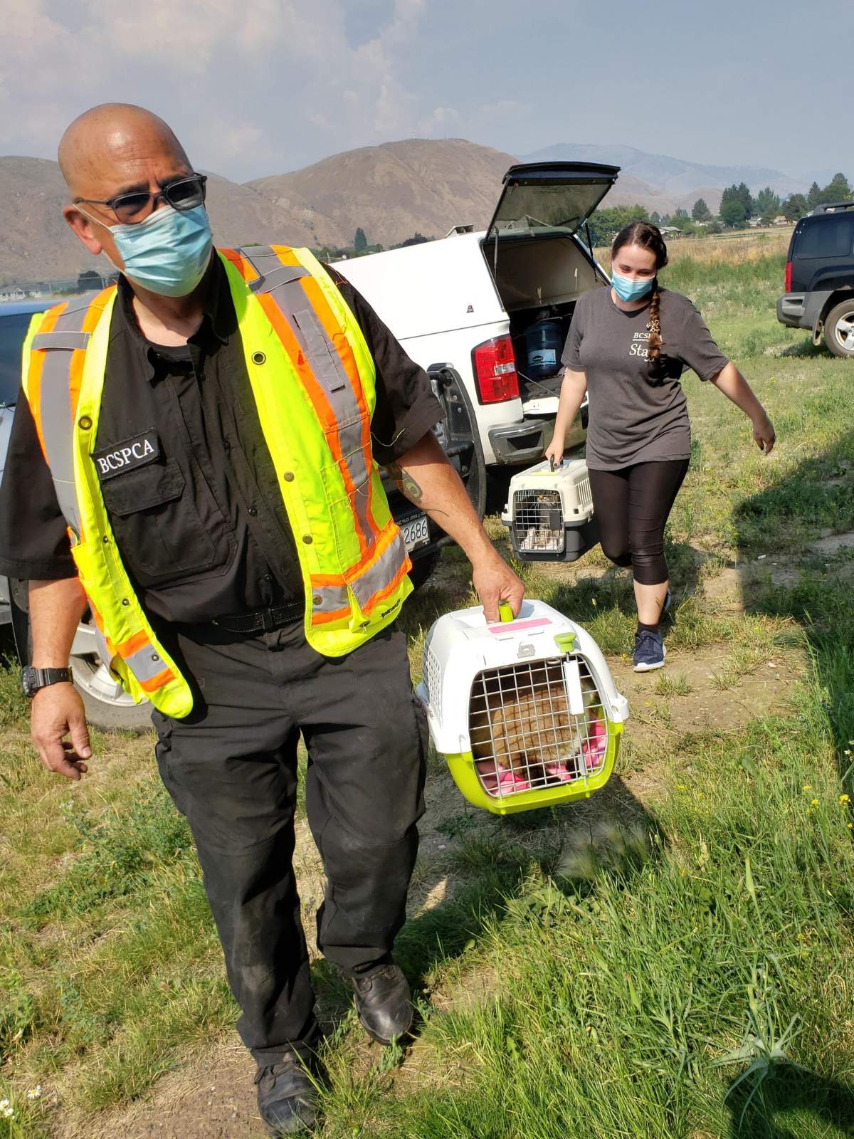 A BC SPCA officer transports an animal rescued from Lytton.