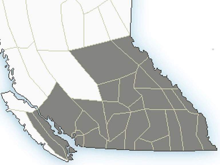A graphic showing special weather statements covering the lower third of British Columbia.
