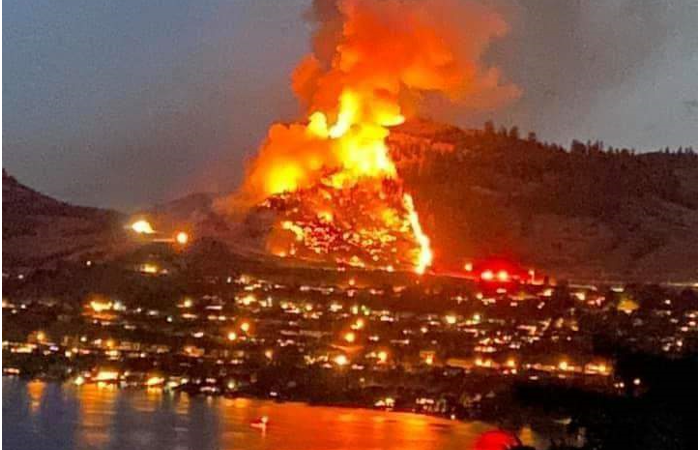 Climate change experts say wildfire losses — forests, homes and lives — will worsen without drastic change.