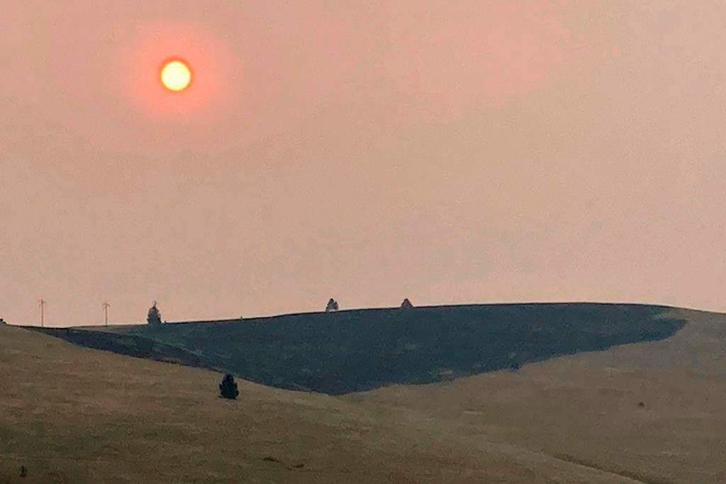 Most grants were around $30,000, but the largest was $300,000, and that went to the South Okanagan and Similkameen region.