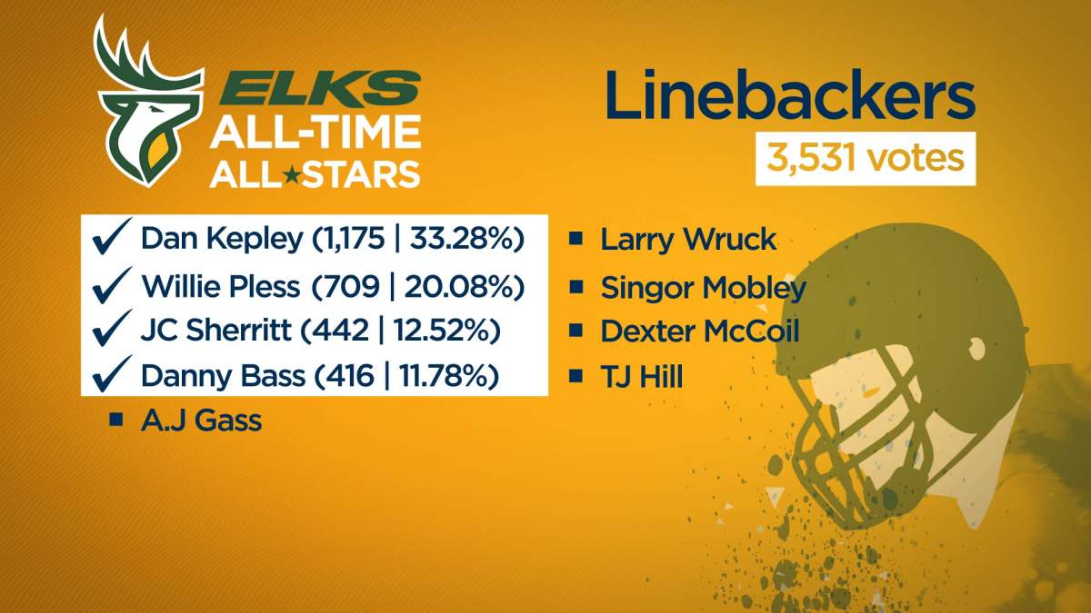 Fans name Edmonton Elks All-Time All-Stars - image