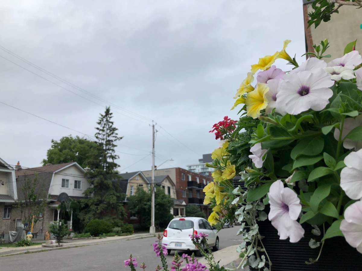 Clouds gather overhead in Ottawa on Tuesday, July 13 as Environment Canada issues a severe thunderstorm watch for the area.