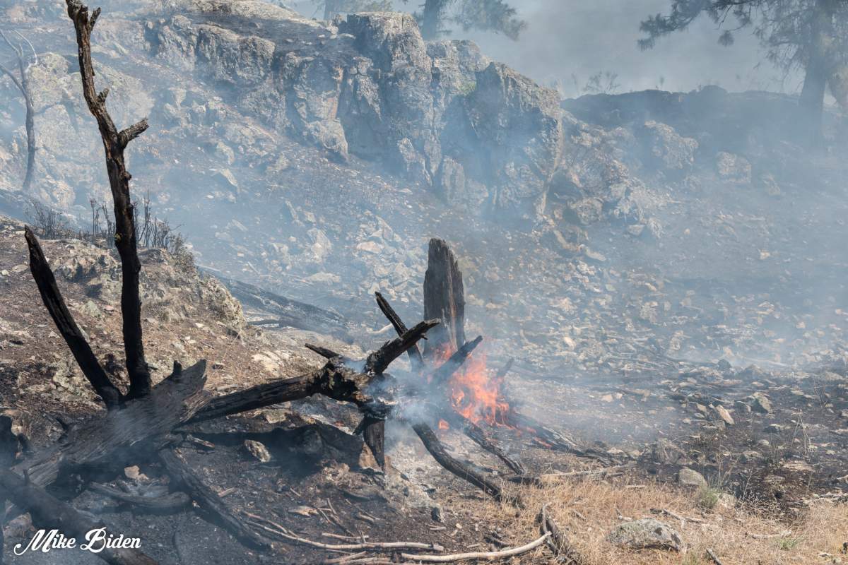 Charred earth as the Thomas Creek wildfire burns 500 hectares of land east of Skaha Lake.