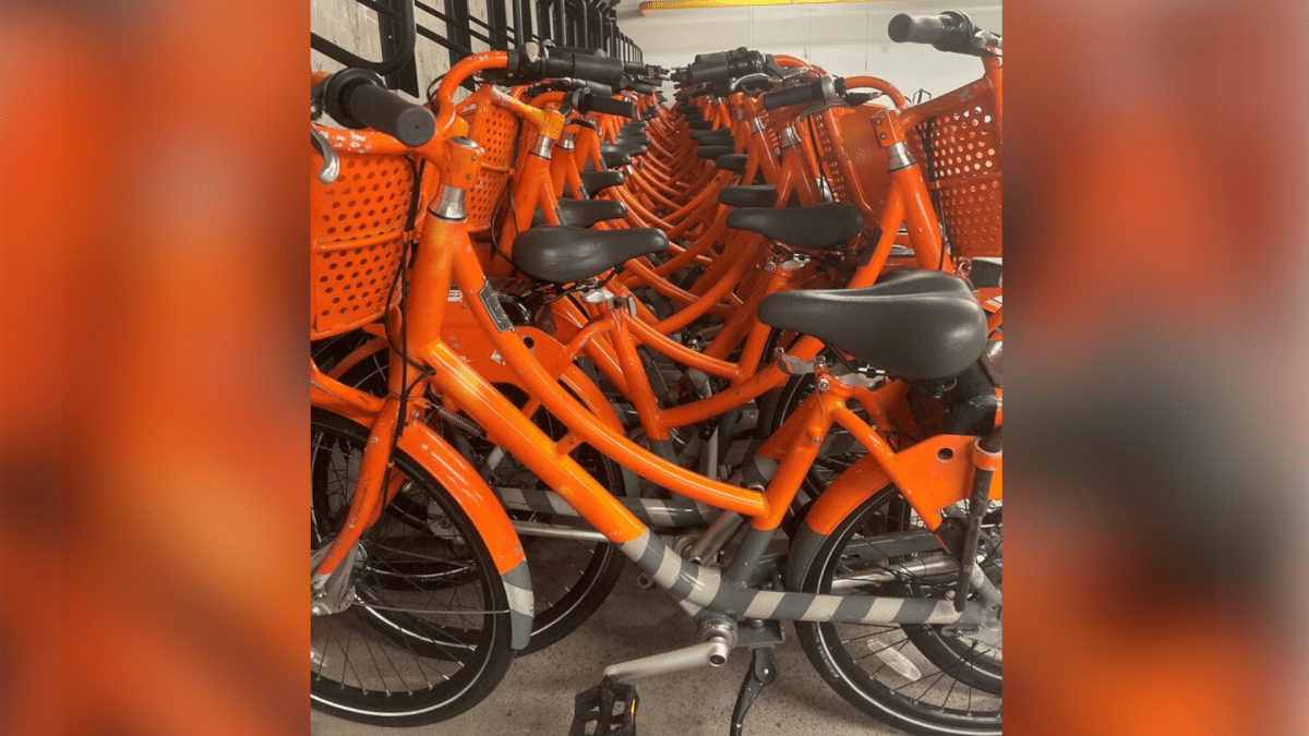 Hamilton set to receive over 600 donated bicycles from Portland, Ore. - image