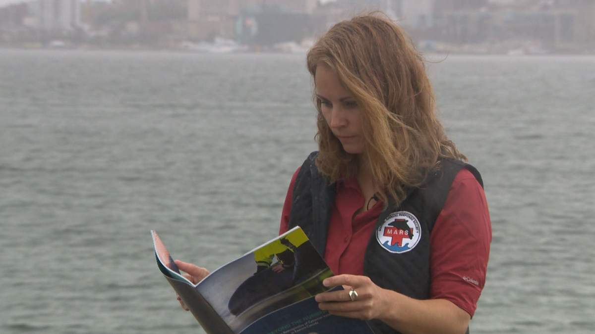 Tonya Wimmer, the executive director of the Marine Animal Response Society (MARS), reviews ‘Beyond The Numbers A 15-Year Retrospective of Cetacean Incidents in Eastern Canada,’ a report MARS released Thursday