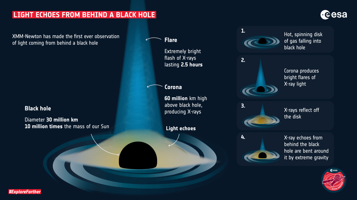 The flares echo off of the gas falling into the black hole, and as the flares were subsiding, short flashes of X-rays were seen corresponding to the reflection of the flares from the far side of the disk, bent around the black hole by its strong gravitational field.