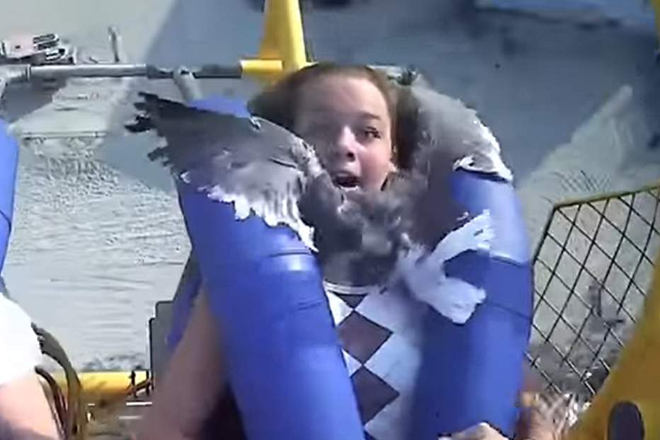 Kiley Holman reacts to a seagull striking her on a ride at the Morey's Piers amusement park in Wildwood, N.J., in this image from video on July 6, 2021.
