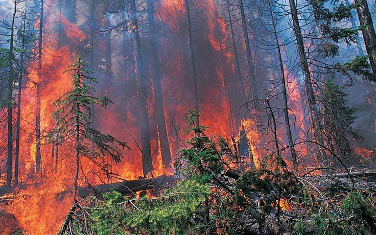 One of the many wildfires in Saskatchewan. 