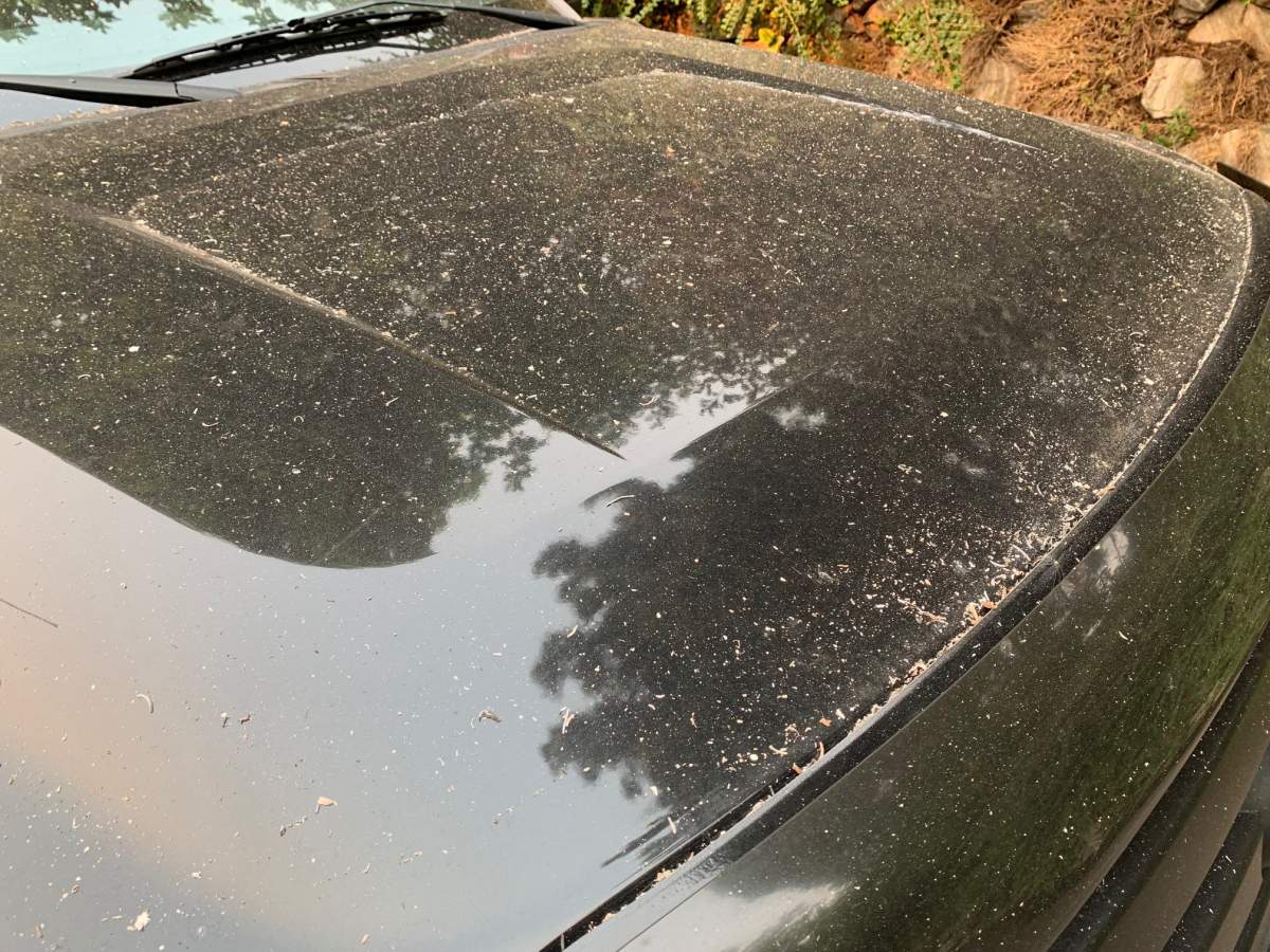 A light dusting of wildfire ash on the hood of a truck on Thursday morning.