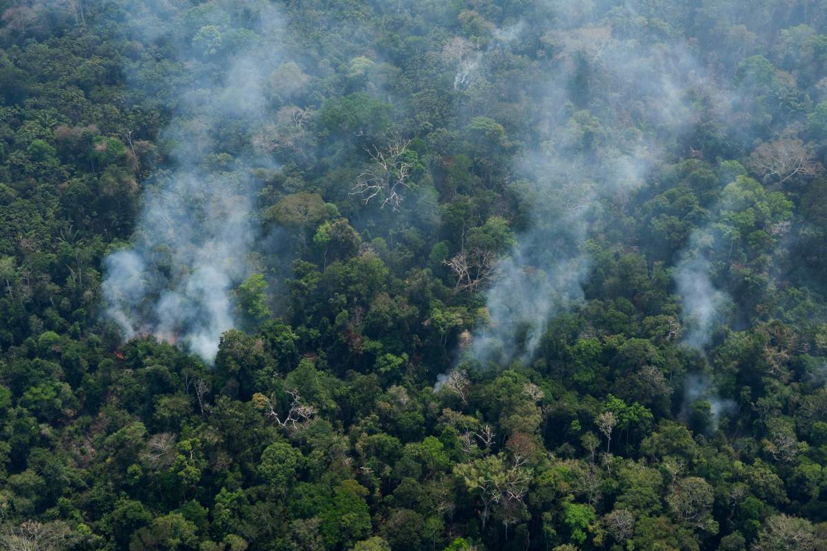 Small columns of smoke rise from the forest near Porto Velho, Brazil, Friday, Aug. 23, 2019.