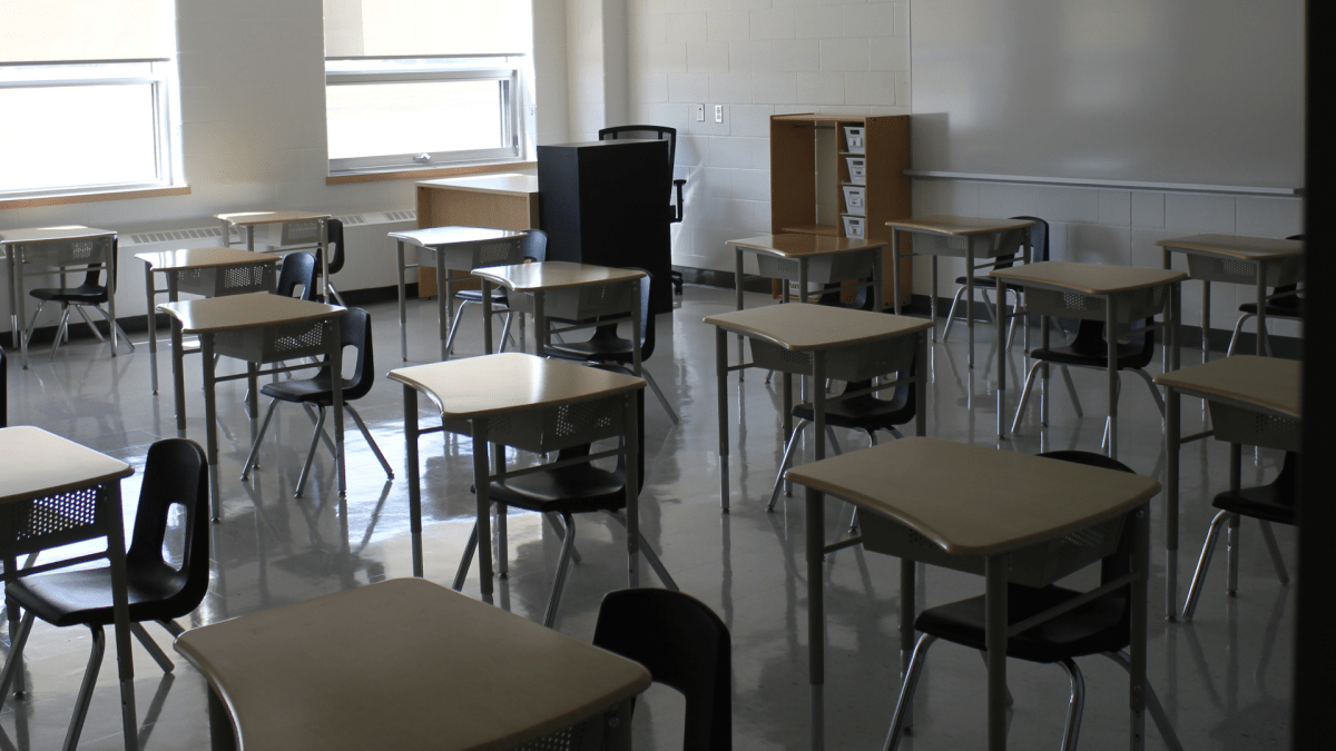 Hamilton school boards optimistic vaccination status, rapid COVID-19 testing will keep students safe - image