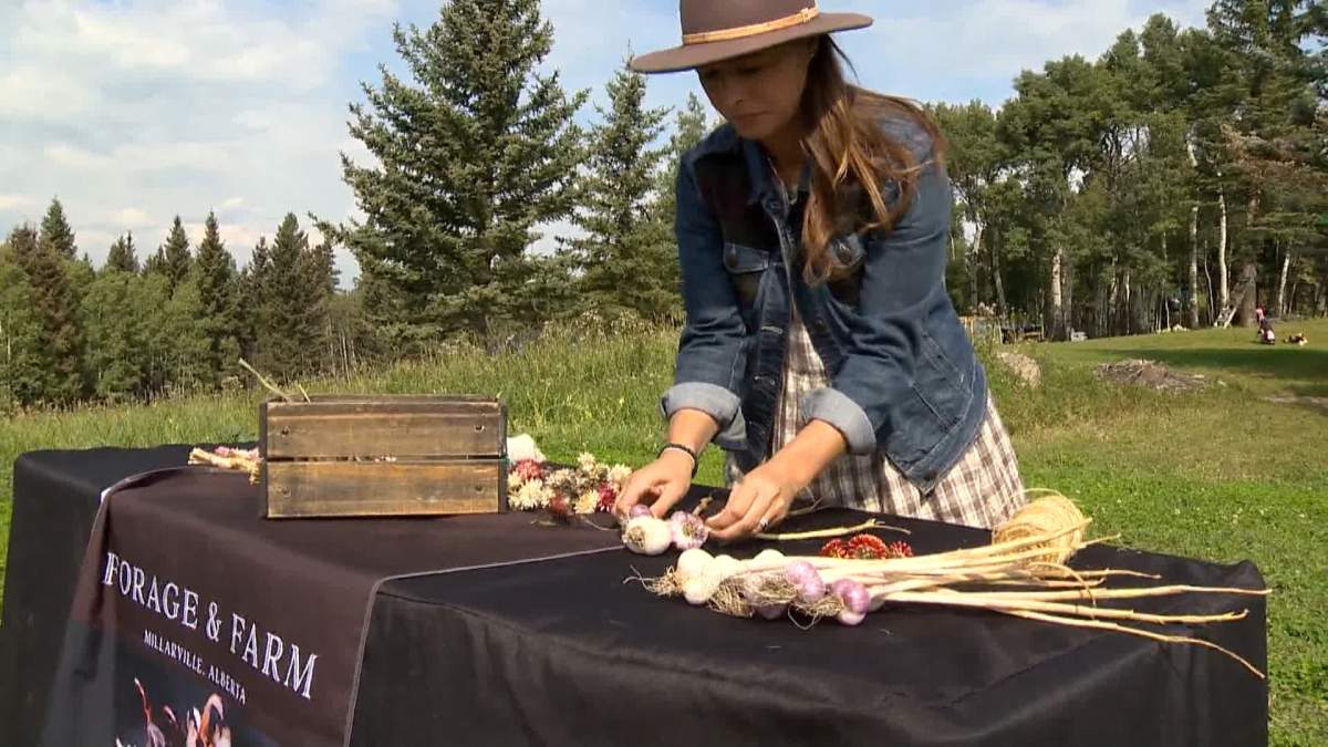 Forage and Farm