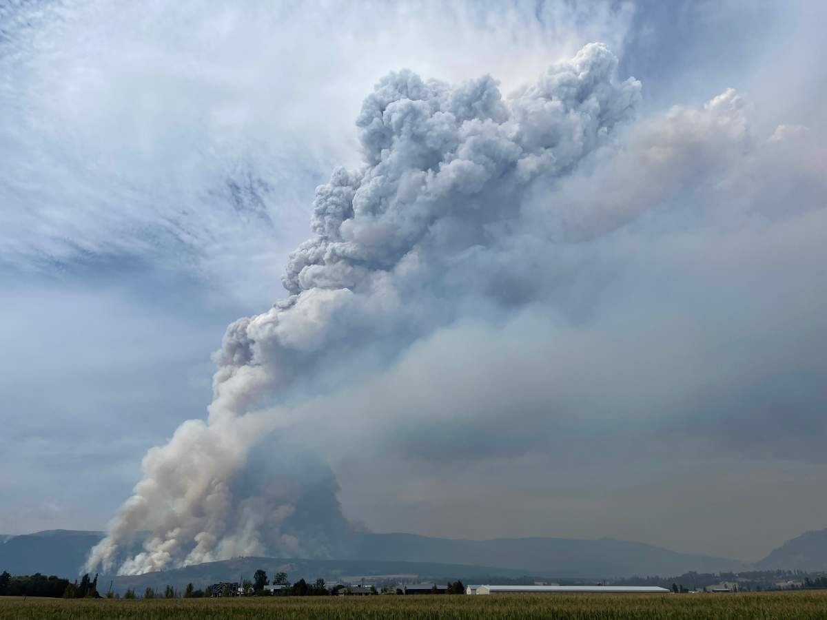 This view of the smoke from the White Rock Lake wildfire planned ignition was taken from Rogers Foods on Larkin Cross Road, Armstrong, BC.