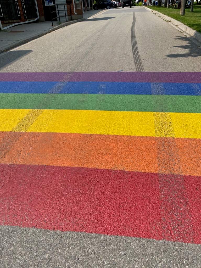 This pictures shows two sets of tire marks: the one that runs the length of the road was the first act of vandalism, and the one running over the flag was the second.