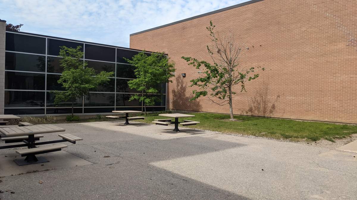 Volunteers spent hours on Friday tearing apart a pavement at Fanshawe College in an effort to help the environment through the Depave Paradise project. 
