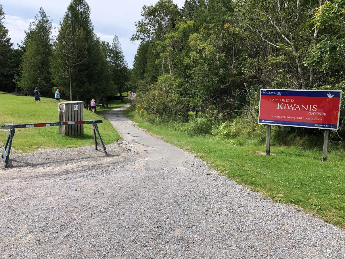 A 23-year-old man has been arrested following reports of a man with a rifle at Rockwood Park. 