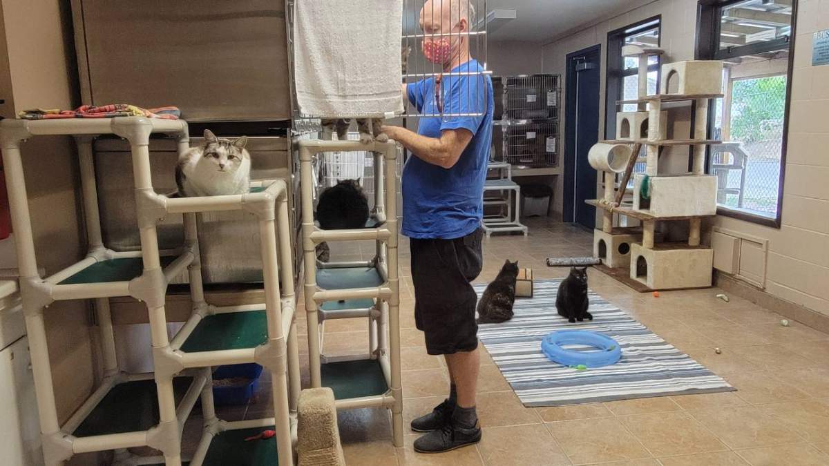 The Kelowna branch of the B.C. SPCA is among those providing emergency shelter to animals displaced by floods..