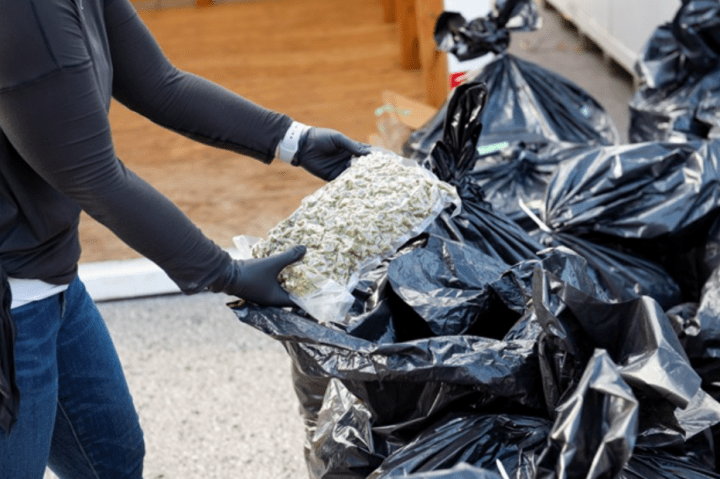 Police say 3,189 pounds of dried cannabis was among what was seized.