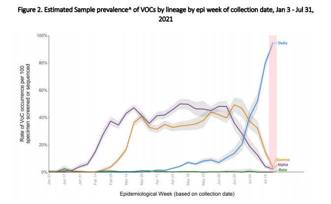 Delta variant now makes up 95% of B.C.’s COVID-19 cases: officials - image